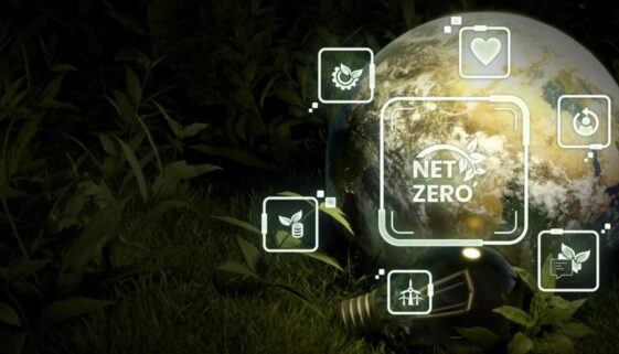 Net Zero Home Renovations in Vancouver to Create Sustainable and Energy-Efficient Homes in Vancouver