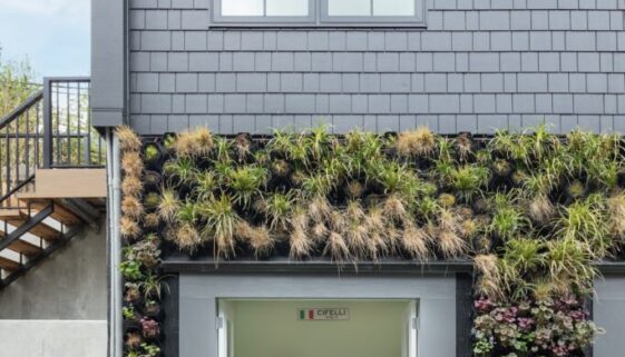 Home Gym Renovation Vancouver