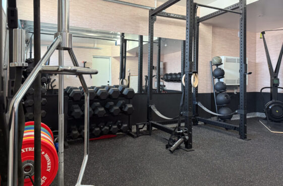 Home Gym Renovation Toronto, Home Gym Renovation Vancouver